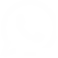 WHATSAPP WSO55
