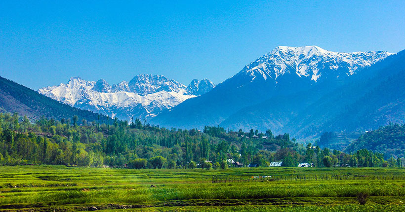 Kashmir, India (ভূস্বর্গ কাশ্মীর ভ্রমণ)
