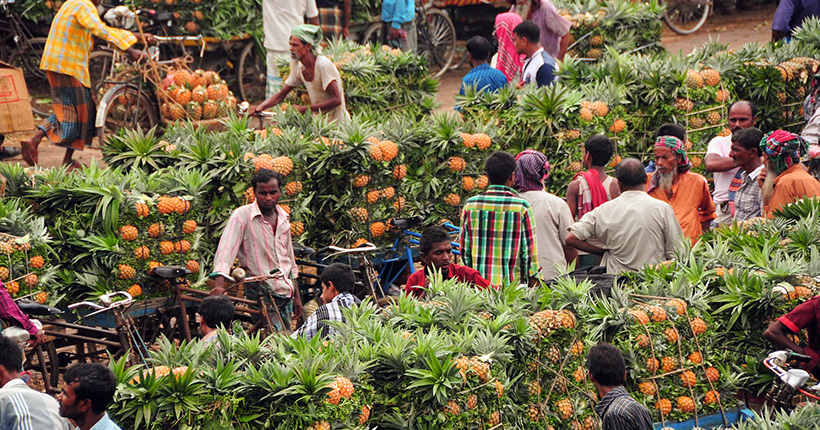 pineapple-bazaar-market-modhupur-tangail-01