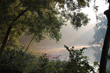 Bhawal National Park, Gazipur (ভাওয়াল ন্যাশনাল পার্ক, গাজীপুর)
