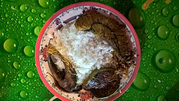 Hilsha Fish, Mawa Feri Ghat (ইলিশ, মাওয়া ফেরি ঘাট)