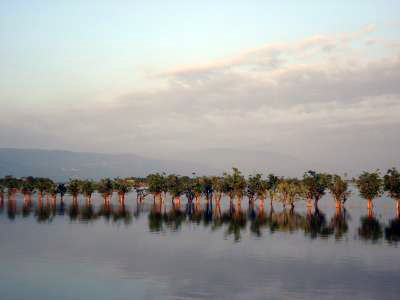 tanguar haor
