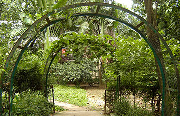 Baldha Garden, Dhaka (বলধা গার্ডেন, ঢাকা)