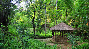Khadimnagar National Park, Sylhet (খাদিমনগর ন্যাশনাল পার্ক, সিলেট)