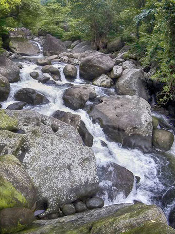 Kulumchora Waterfall, Gowainghat, Sylhet (কুলুমছড়া ঝর্ণা, গোয়াইনঘাট, সিলেট)