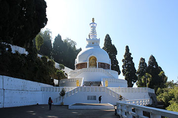 Peace Pagoda, Darjeeling দার্জিলিং