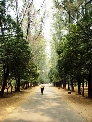 Botanical Garden, Dhaka (বোটানিক্যাল গার্ডেন, ঢাকা)