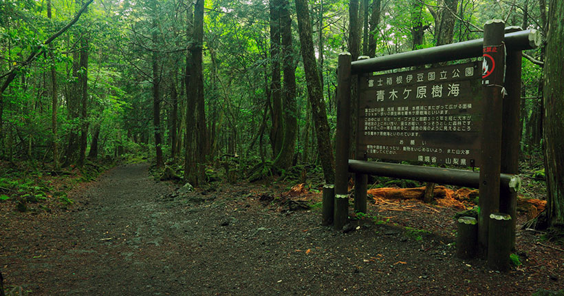 aokigahara-suicide-forest-01