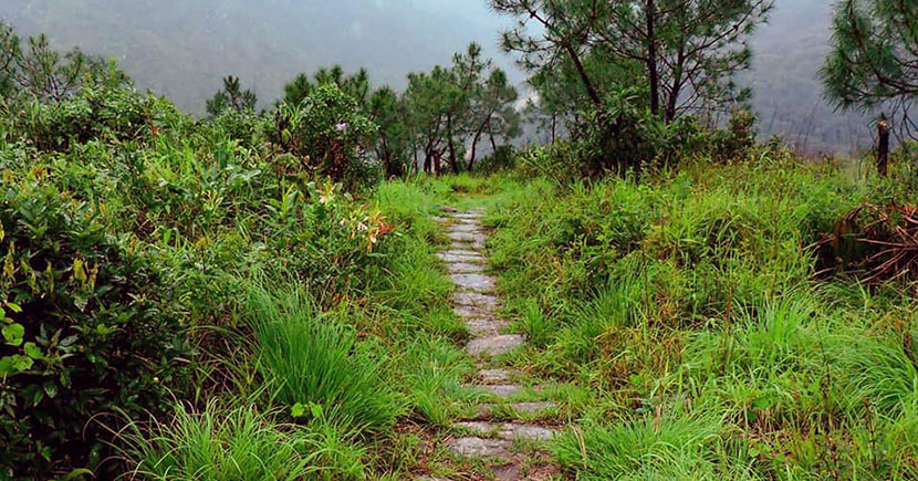 David Scott trails