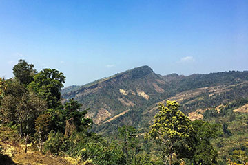 কির্সতং, আলীকদম, বান্দরবান
