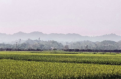 পানিহাটা-তারানি পাহাড়