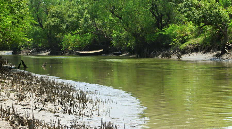 Bir yigit parkda erkalayapti Bir yigit parkda erkalayapti