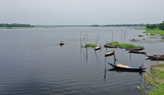 চিনাদী বিল Chinadi Beel শিবপুর, নরসিংদী